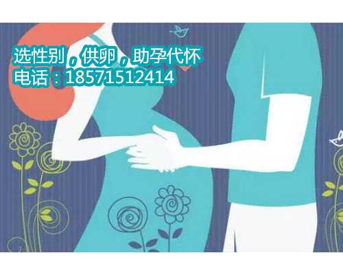 深圳正规的代孕中介,北京试管婴儿什么时候纳入医保