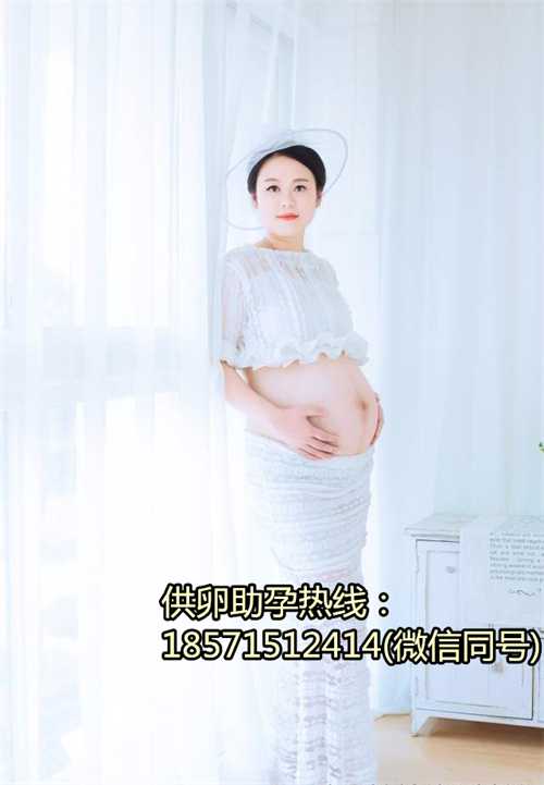 深圳地下供卵机构,1福建做第三代试管婴儿成功率有多大